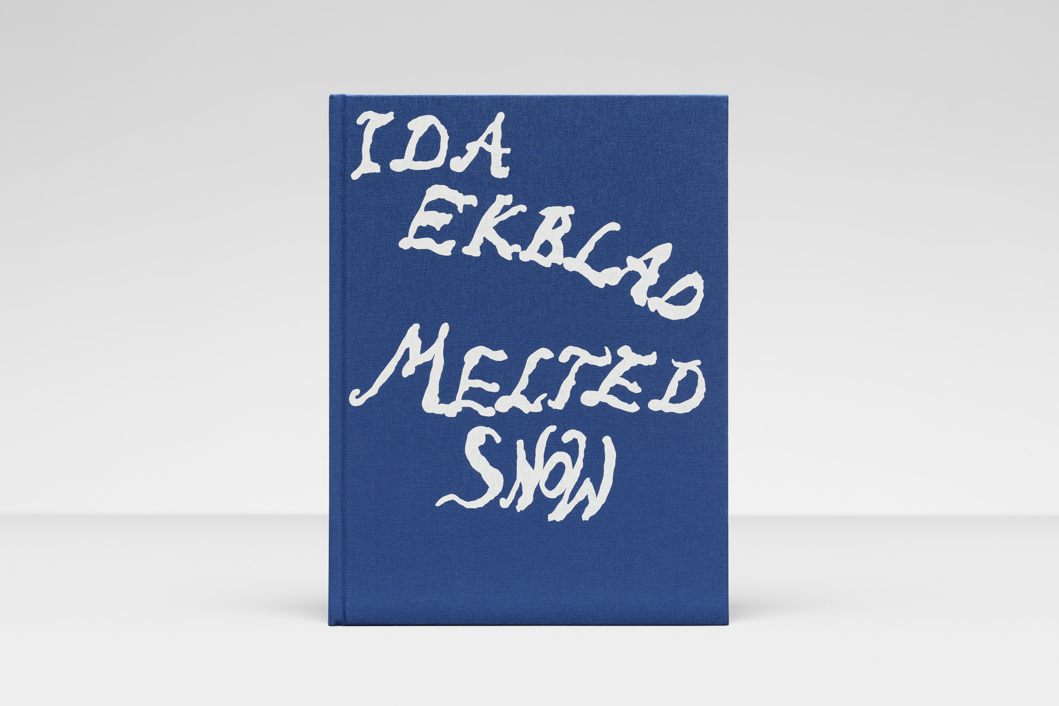 Ida Ekblad: Melted Snow - Galerie Max Hetzler